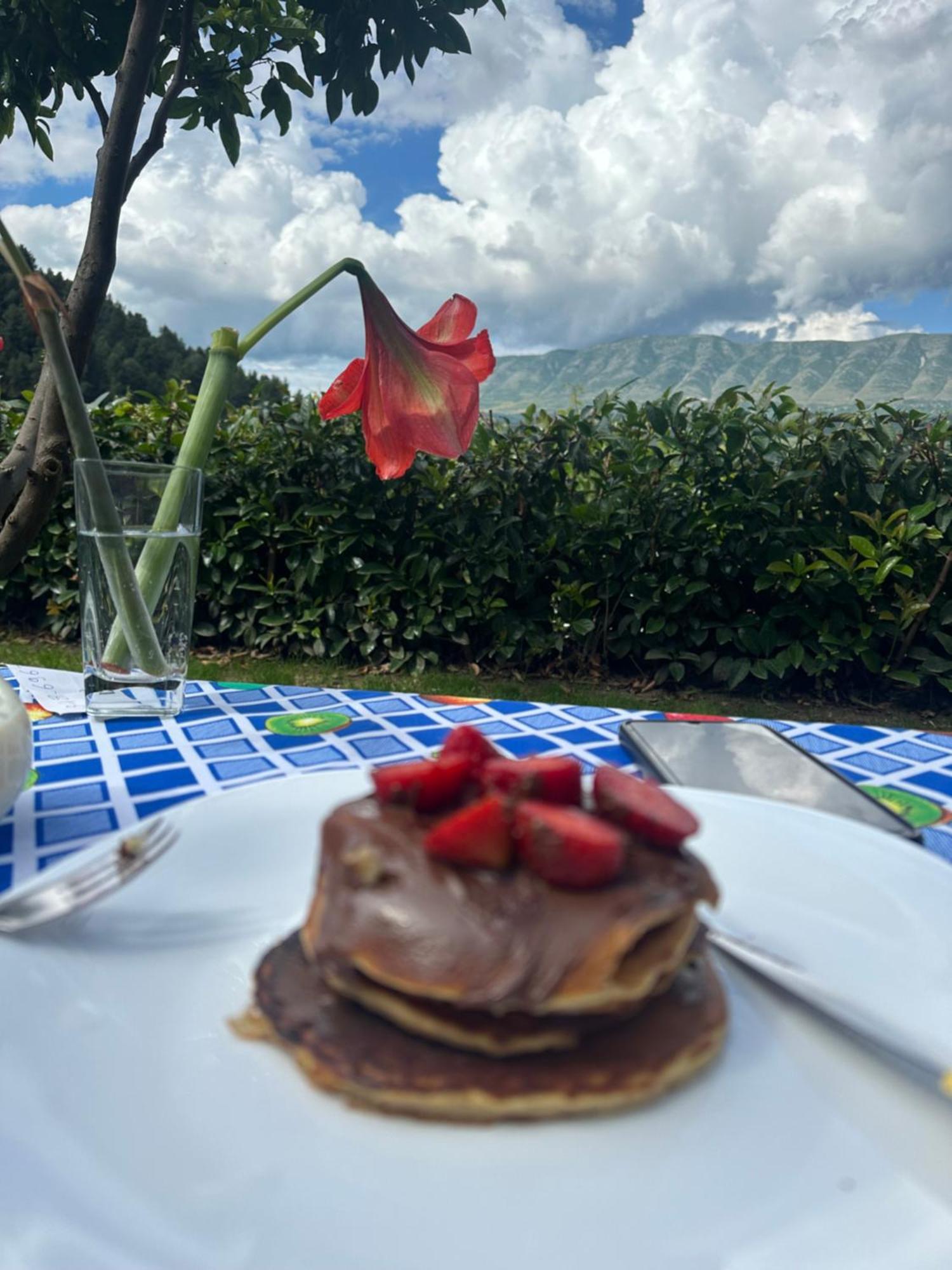 Hotel Villa Edis Берат Экстерьер фото